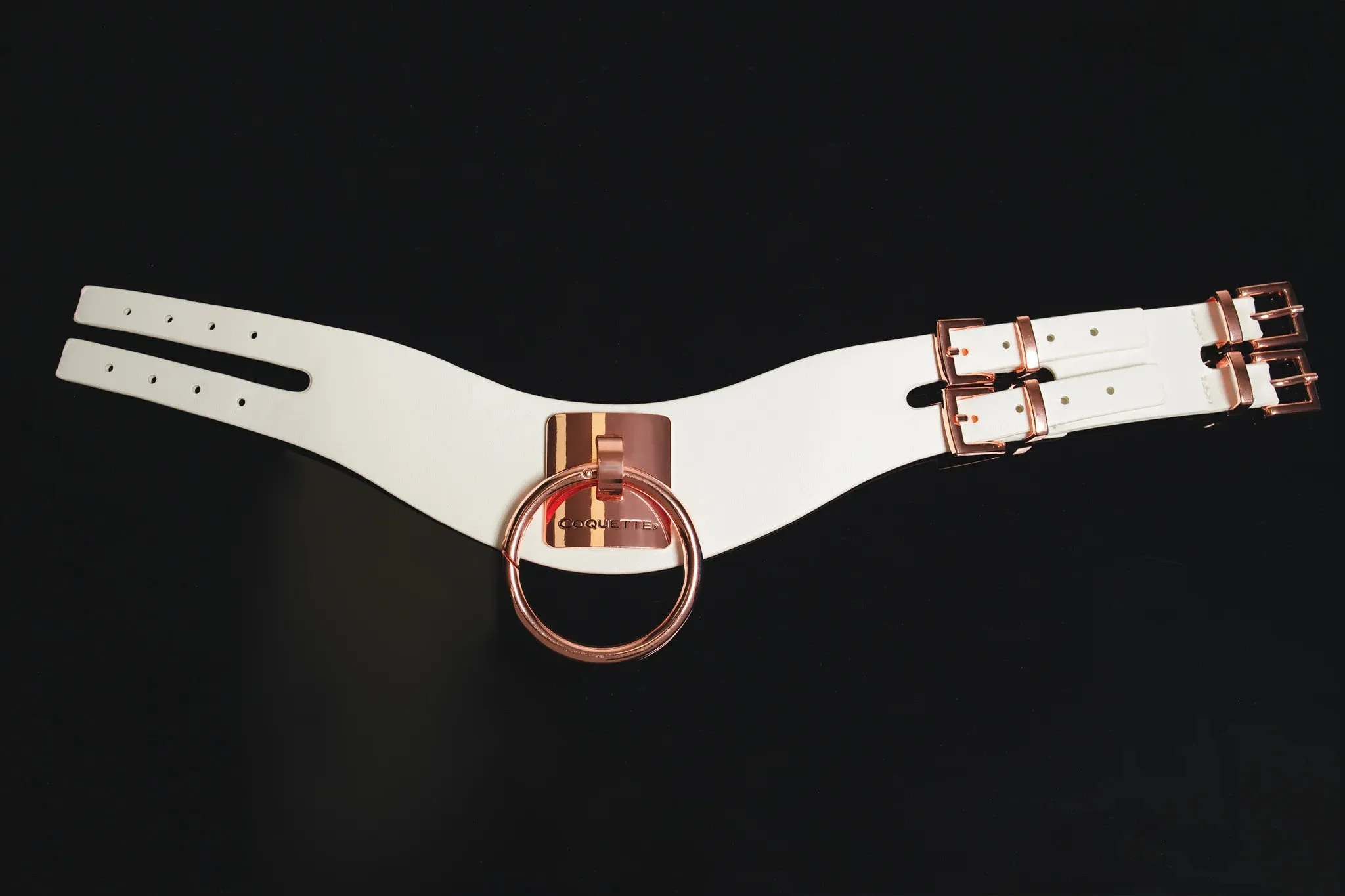 Vegan Leather Collar